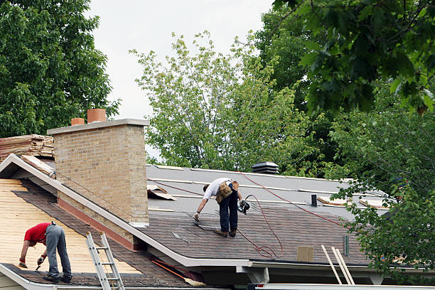 Best Roof Maintenance Services  in Brown Deer, WI