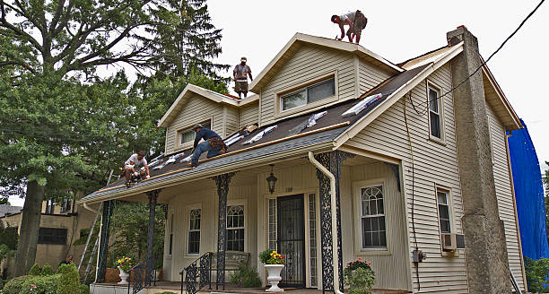 Best Roof Gutter Cleaning  in Brown Deer, WI